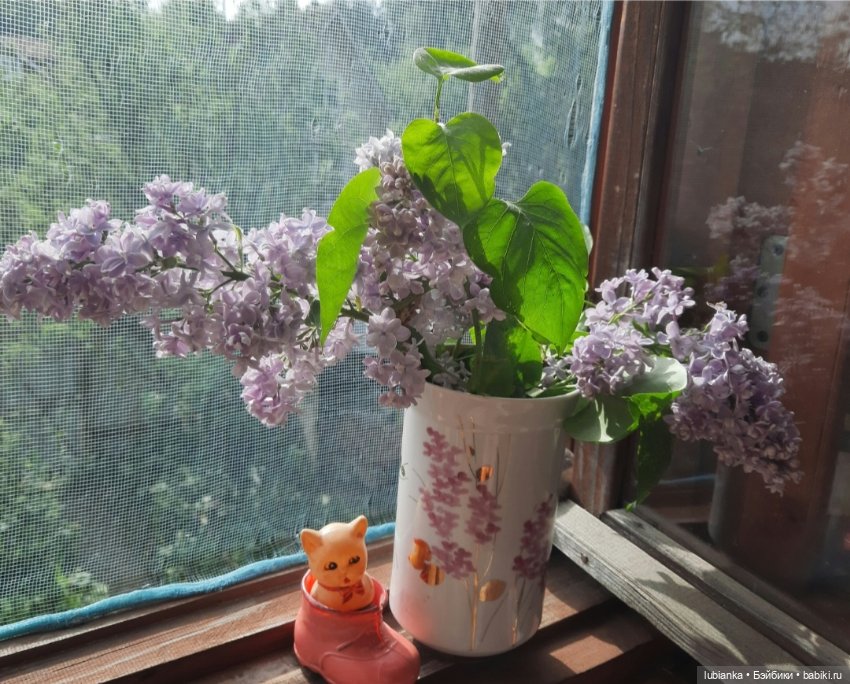 В предверии светлого мая🌱🍀🦋🐞🌞