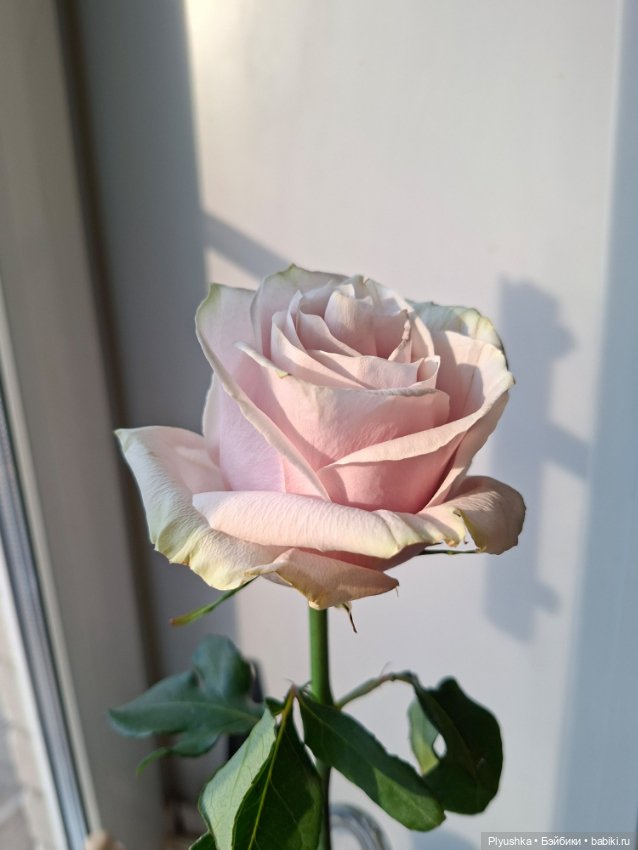 Какое время - такие и Феи) (фото 4)