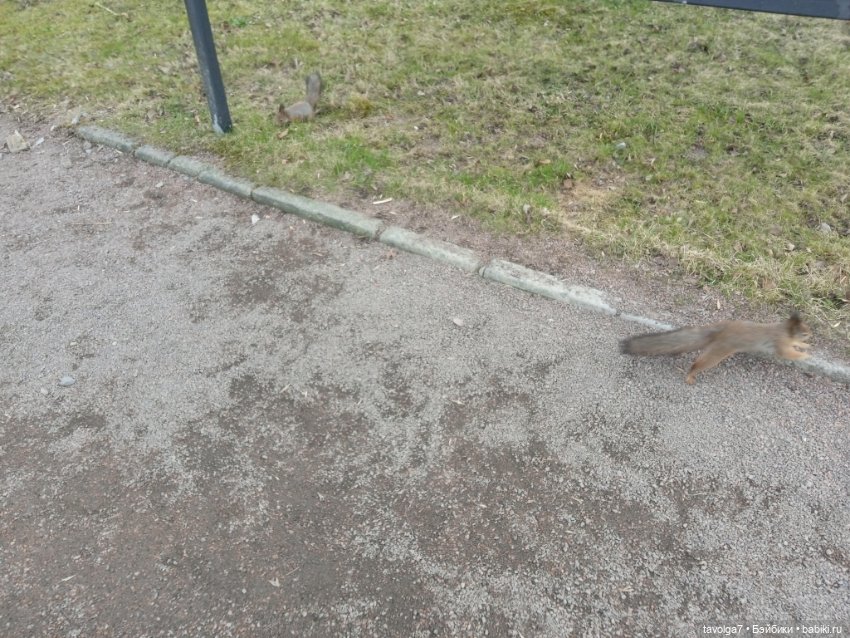 Popo @ Milk в Петергофе — Азиатские виниловые куклы (разное): Китай