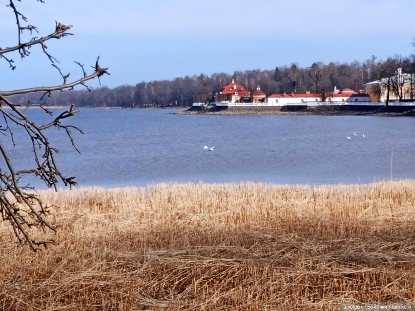 Popo @ Milk в Петергофе — Азиатские виниловые куклы (разное): Китай