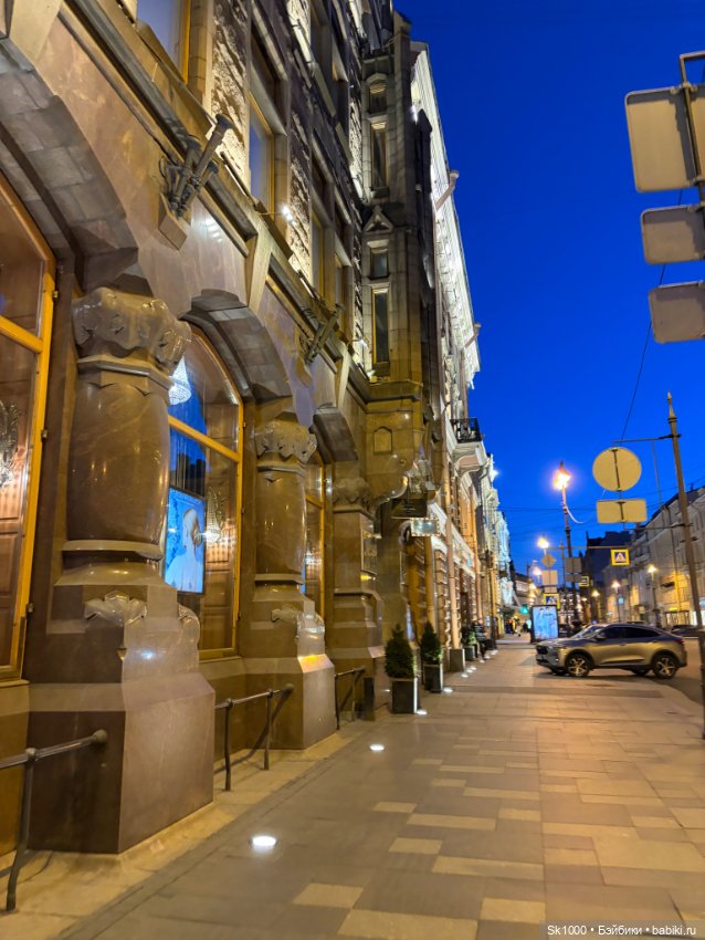 По ночному городу с Никой (Она Натальи Петровой)