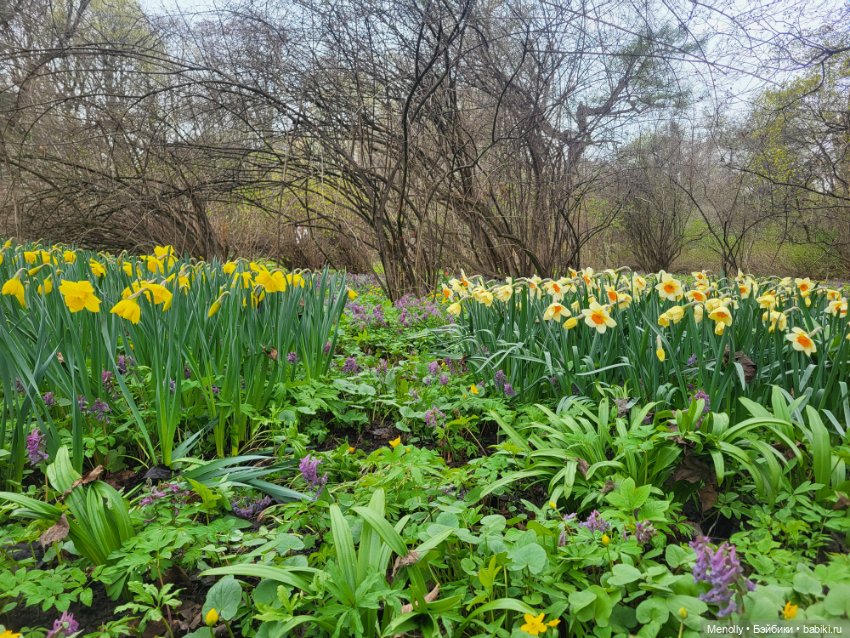 Весеннее (снова "все побежали, ну и я")