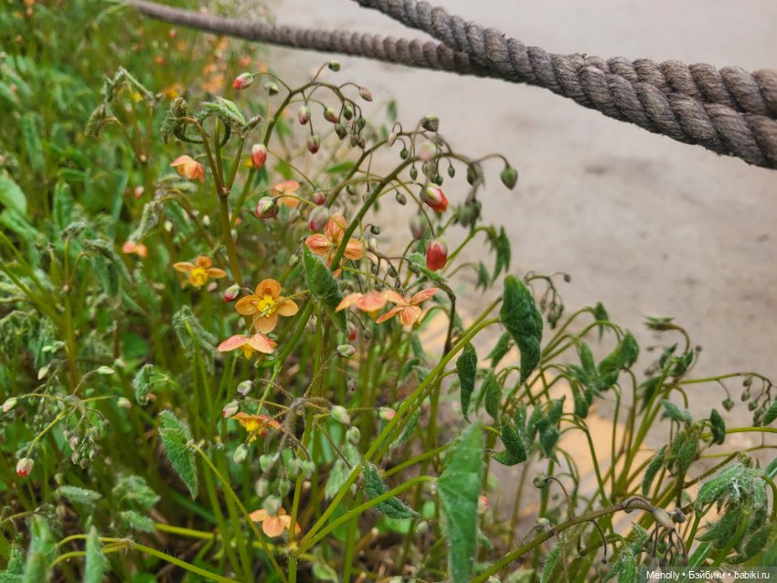 Весеннее (снова "все побежали, ну и я")