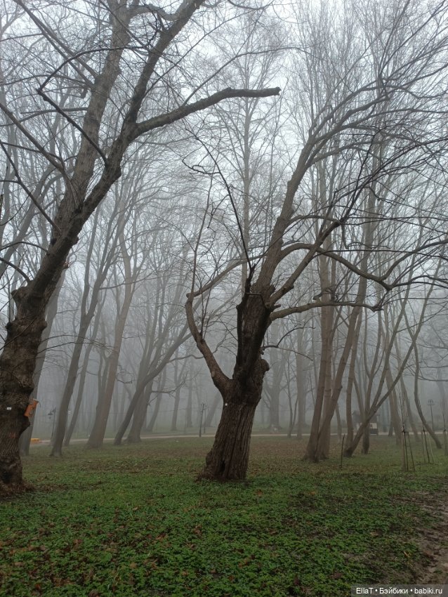 Кристина в утреннем лесу — Куклы Paola Reina (Паола Рейна): новинки (фото 10)