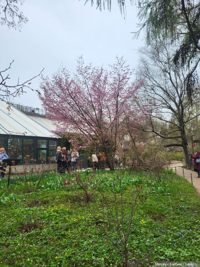 Весеннее (снова "все побежали, ну и я") (фото 4)
