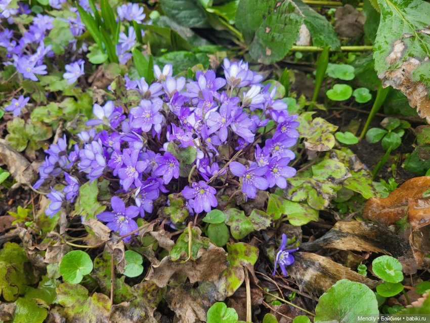 Весеннее (снова "все побежали, ну и я")