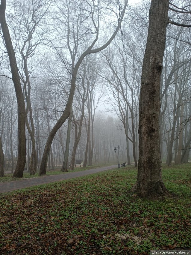 Кристина в утреннем лесу — Куклы Paola Reina (Паола Рейна): новинки