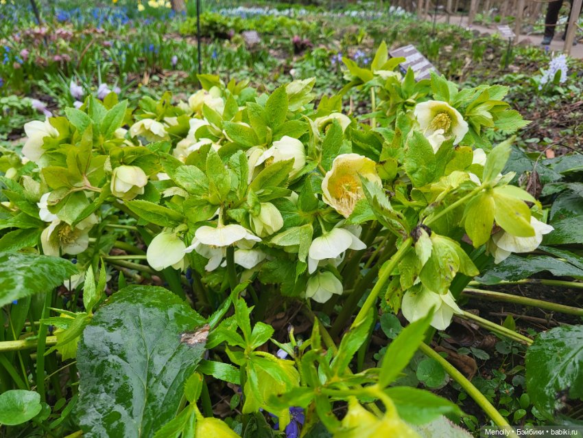 Весеннее (снова "все побежали, ну и я")