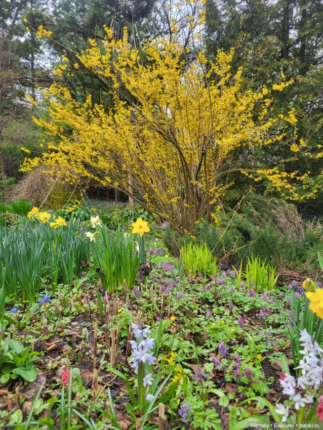 Весеннее (снова "все побежали, ну и я")