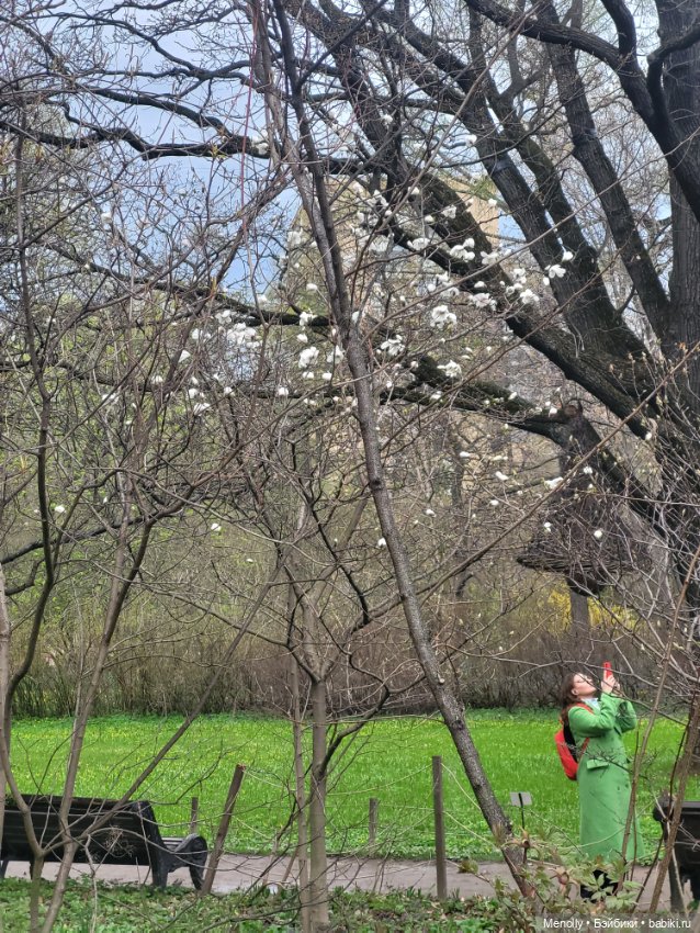 Весеннее (снова "все побежали, ну и я")