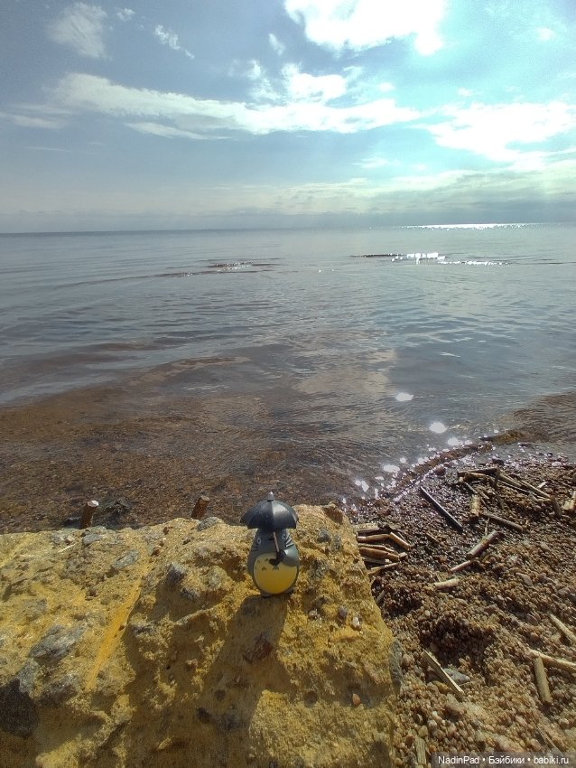 Тоторо и залИвное море — Игровые куклы разных производителей (Разное): редкие бренды (фото 3)