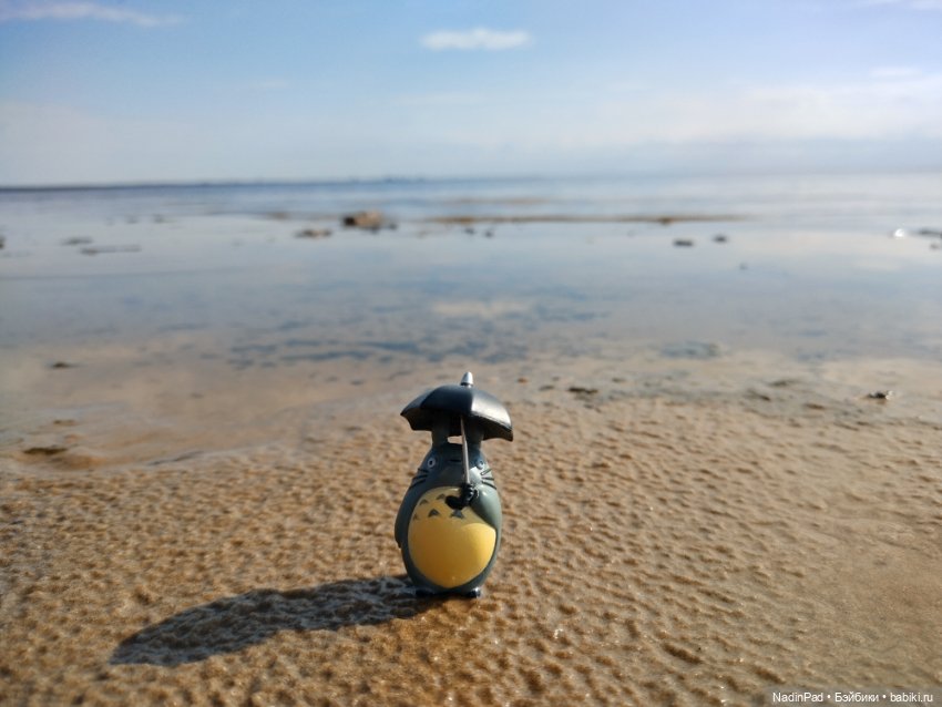 Тоторо и залИвное море — Игровые куклы разных производителей (Разное): редкие бренды