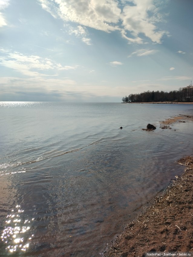 Тоторо и залИвное море — Игровые куклы разных производителей (Разное): редкие бренды (фото 2)