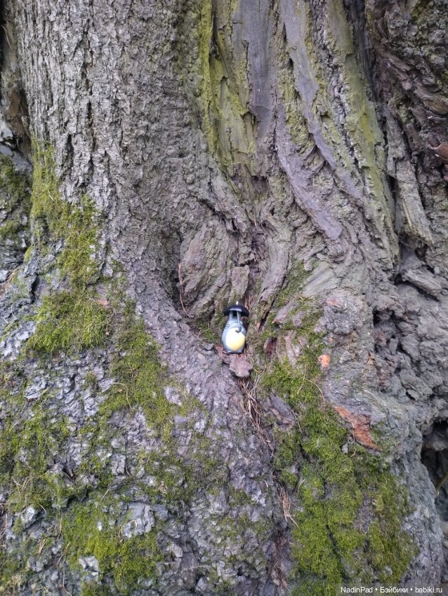 Тоторо и парк — Красивая природа и цветы: фото пейзажей (фото 8)