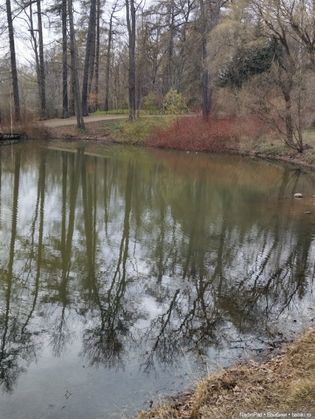 Тоторо и парк — Красивая природа и цветы: фото пейзажей