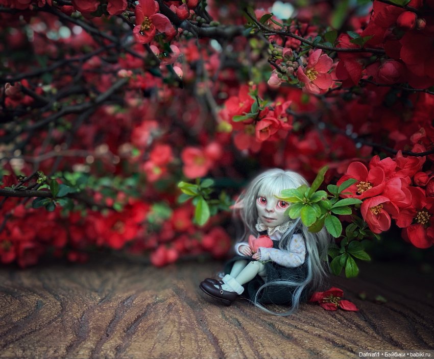 Прелестная гадость — Авторские куклы BJD (БЖД) у нас дома: фото (фото 2)