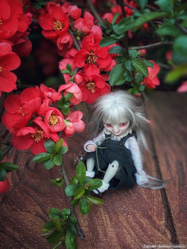 Прелестная гадость — Авторские куклы BJD (БЖД) у нас дома: фото (фото 8)