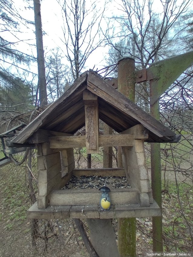 Тоторо и парк — Красивая природа и цветы: фото пейзажей (фото 9)