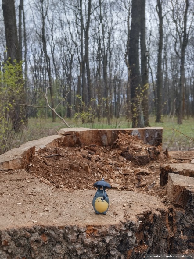 Тоторо и парк — Красивая природа и цветы: фото пейзажей (фото 5)