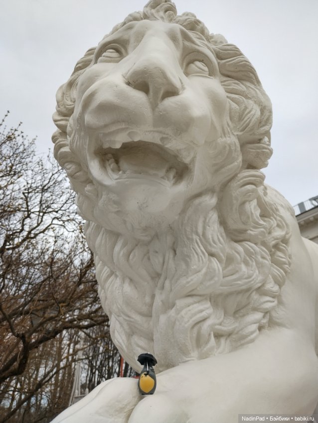 Тоторо и парк — Красивая природа и цветы: фото пейзажей