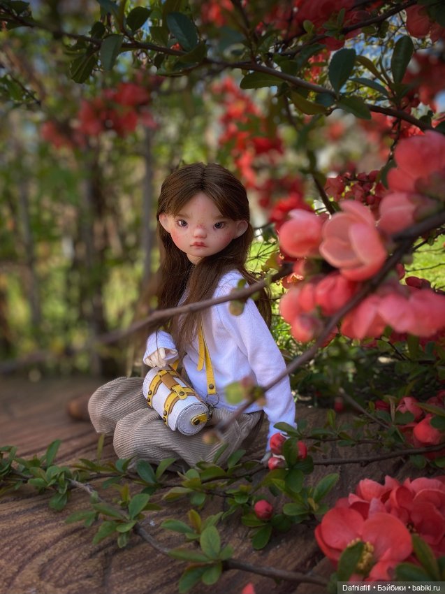 Куклы Dust of Dolls (Даст оф Доллс): BJD (БЖД) (фото 8)