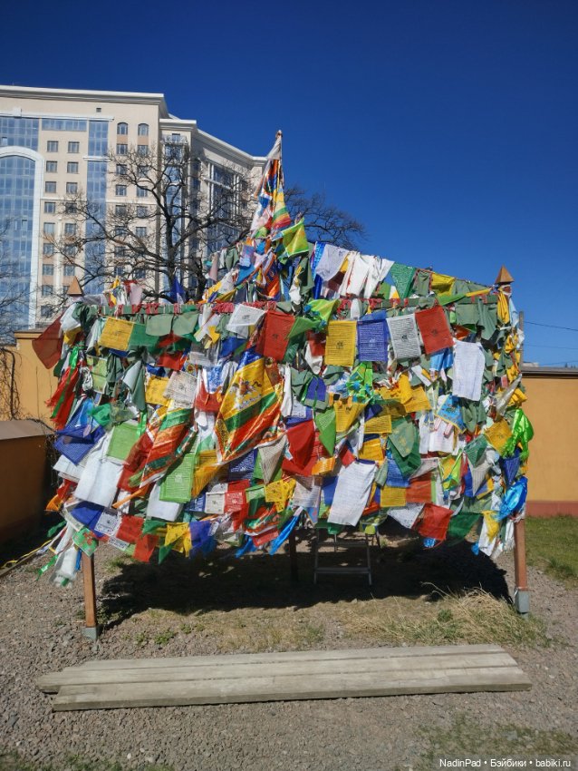 Тоторо и Дацан — Интересное и необычное: фотоподборки