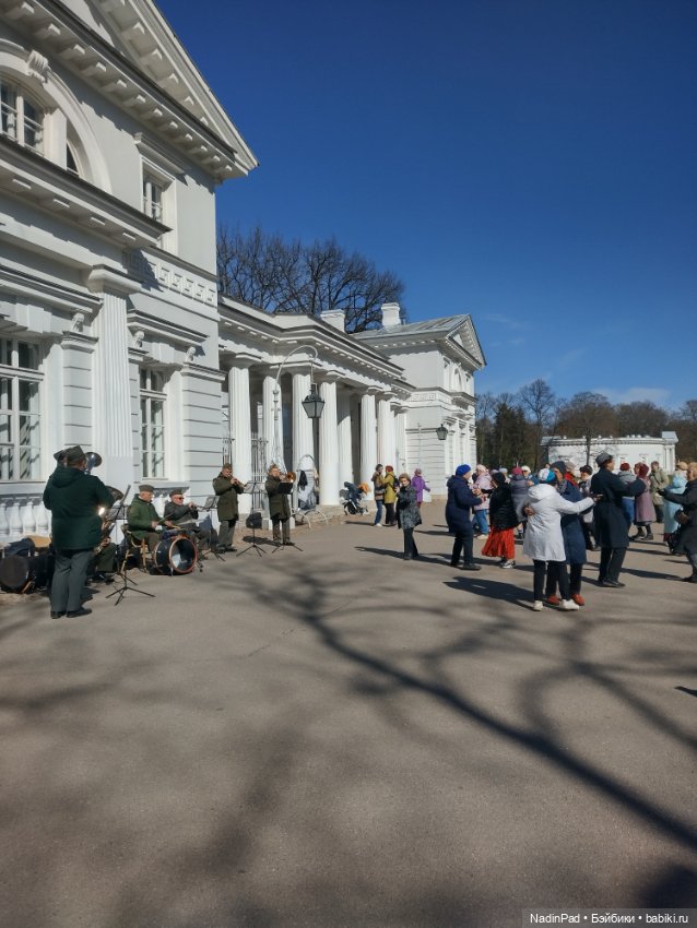 Тоторо и Дацан — Интересное и необычное: фотоподборки