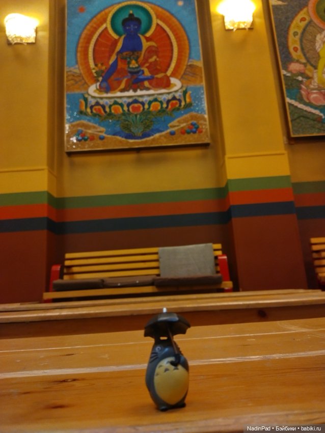 Тоторо и Дацан — Интересное и необычное: фотоподборки (фото 8)