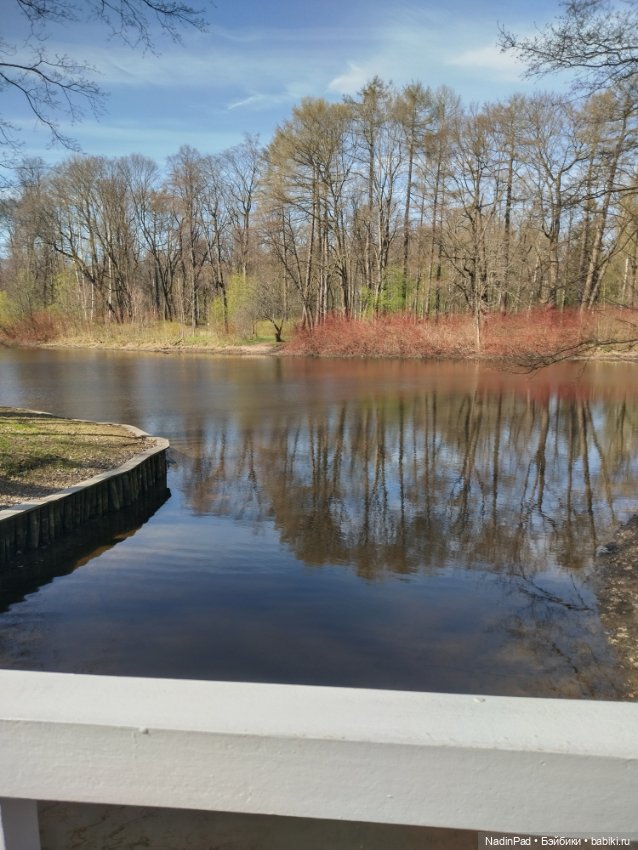 Тоторо и Дацан — Интересное и необычное: фотоподборки