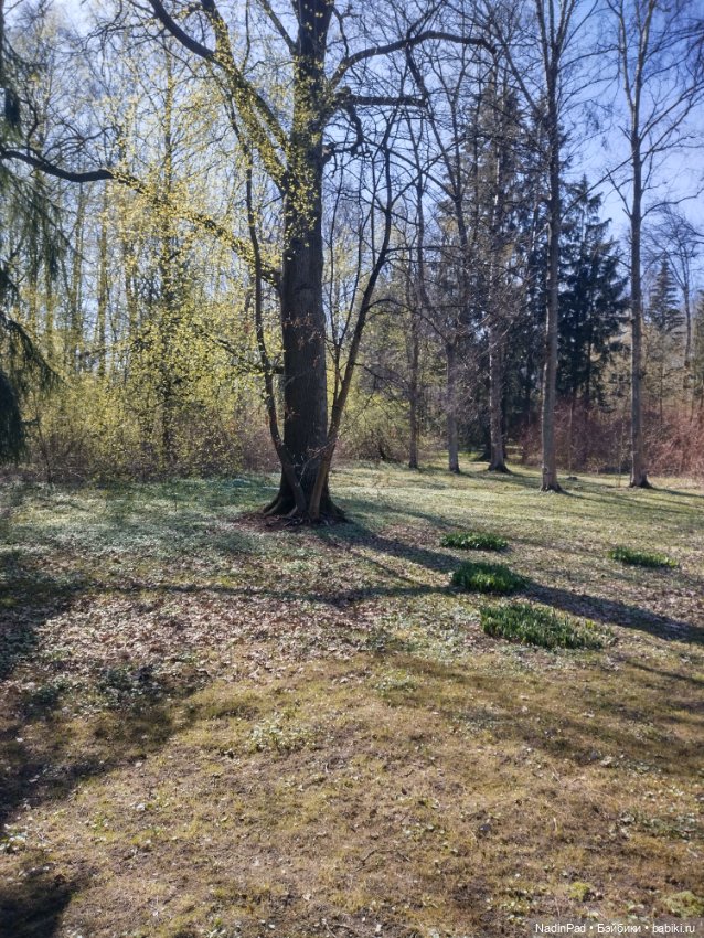 Тоторо и Дацан — Интересное и необычное: фотоподборки