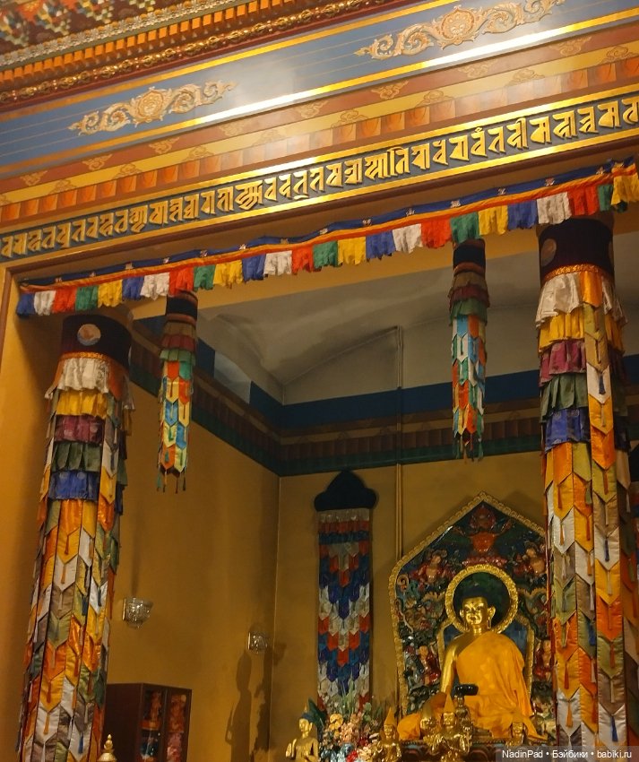 Тоторо и Дацан — Интересное и необычное: фотоподборки (фото 9)