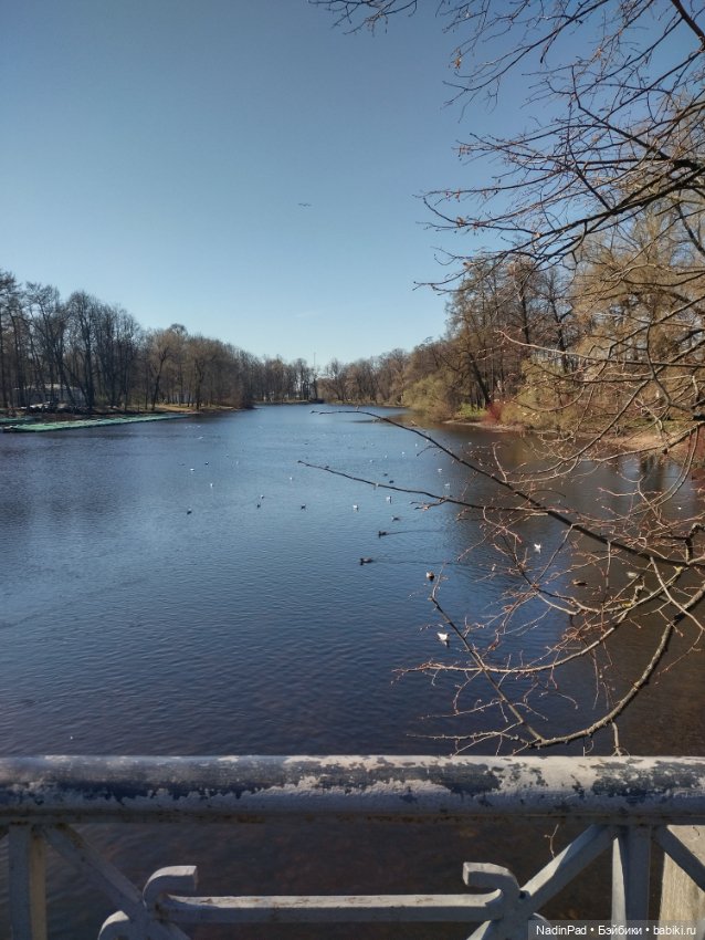 Тоторо и Дацан — Интересное и необычное: фотоподборки