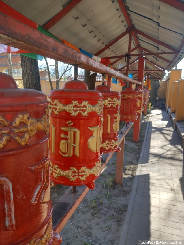 Тоторо и Дацан — Интересное и необычное: фотоподборки