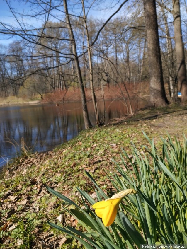 Тоторо и Дацан — Интересное и необычное: фотоподборки