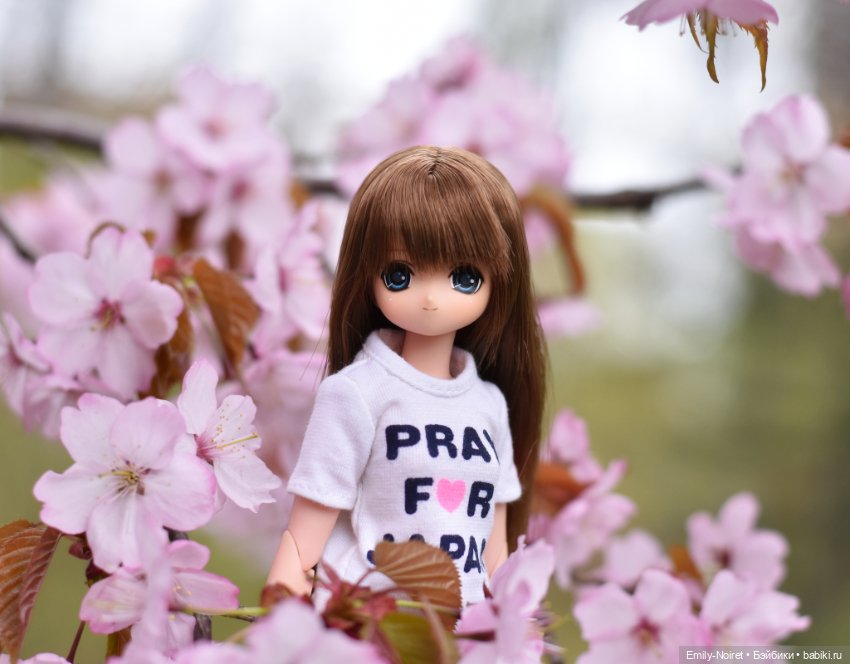 Фото-подборка: Цветение — Игровые куклы разных производителей (Разное): редкие бренды (фото 2)