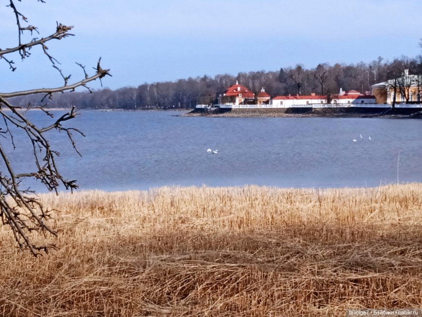 Петергоф в апреле 2026 с историческими справками