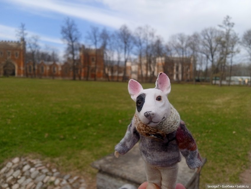 Дворцовые конюшни в Петергофе (фото 3)