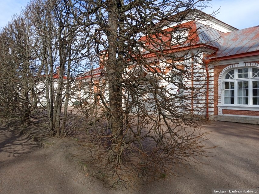 Петергоф в апреле 2026 с историческими справками