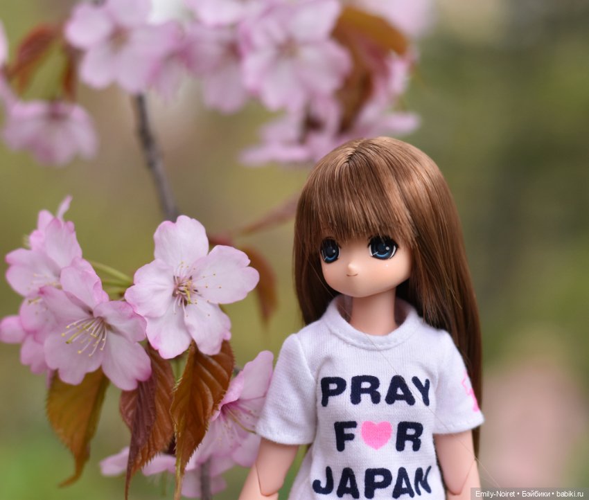 Фото-подборка: Цветение — Игровые куклы разных производителей (Разное): редкие бренды (фото 4)