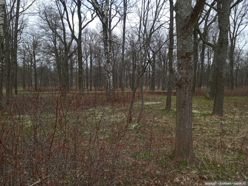 Петергоф в апреле 2026 с историческими справками (фото 6)