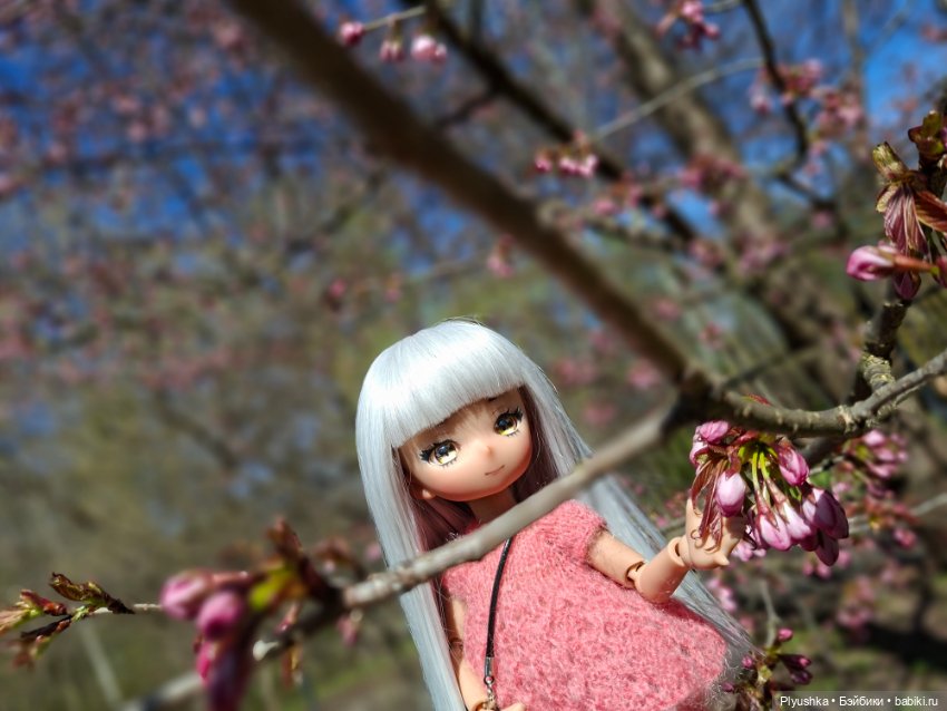 Сакура цветёт — Аниме куклы (MJD/Винил): Imomo (фото 5)