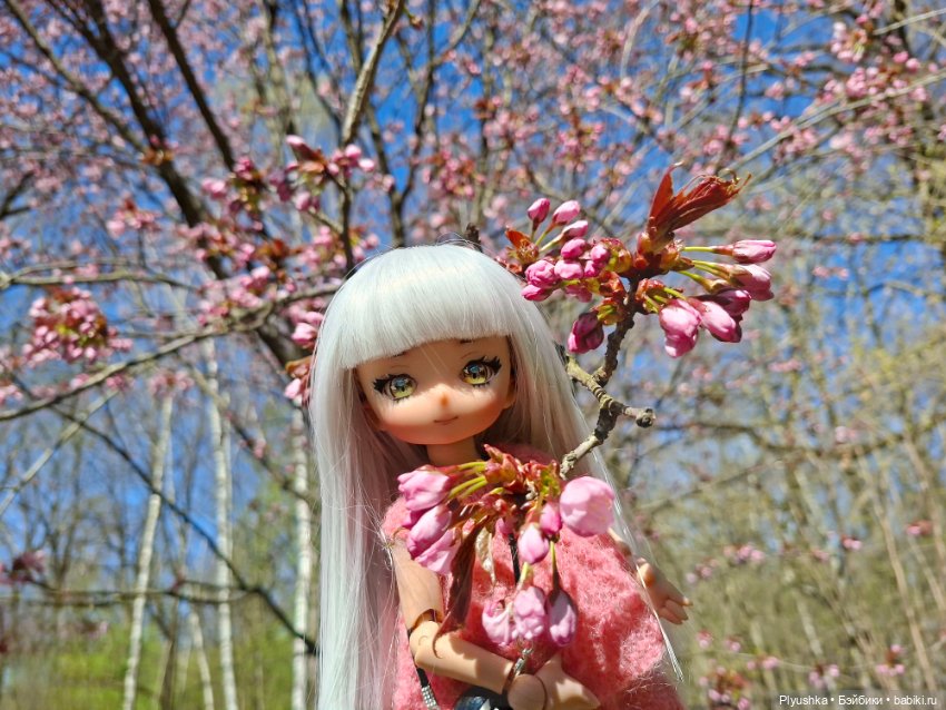 Сакура цветёт — Аниме куклы (MJD/Винил): Imomo (фото 7)