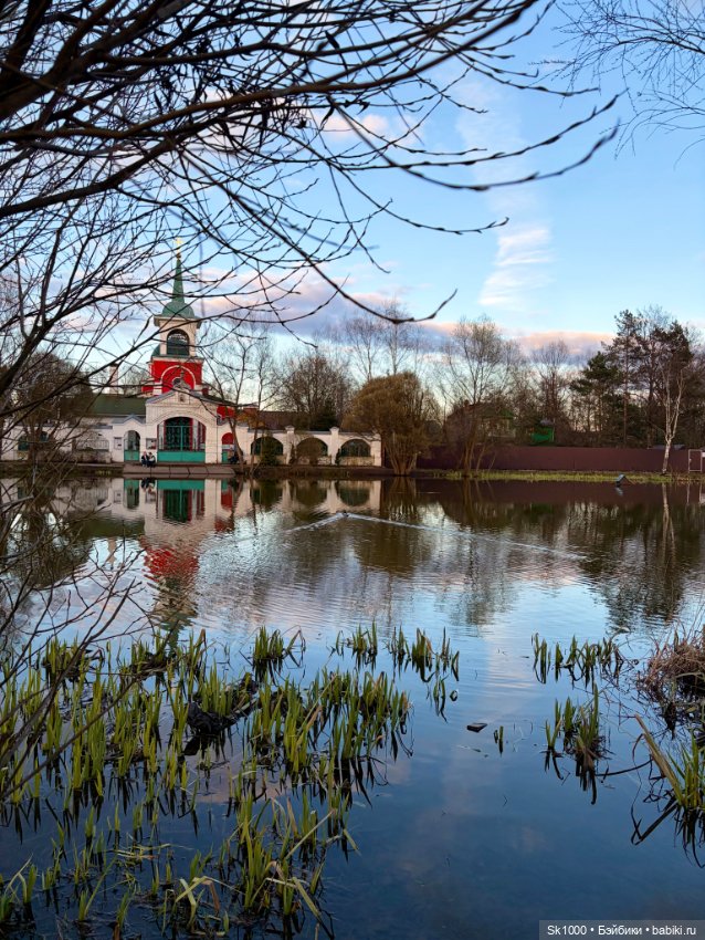 Гуляем с Шайло (авт. Наталья Петрова)