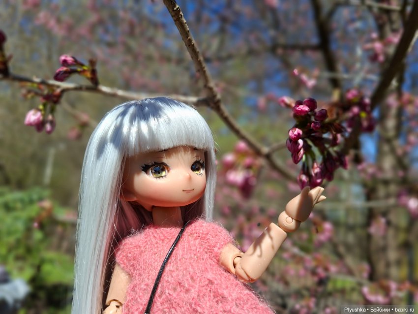 Сакура цветёт — Аниме куклы (MJD/Винил): Imomo (фото 4)