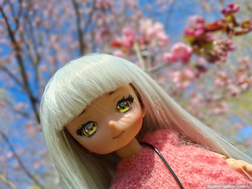 Сакура цветёт — Аниме куклы (MJD/Винил): Imomo