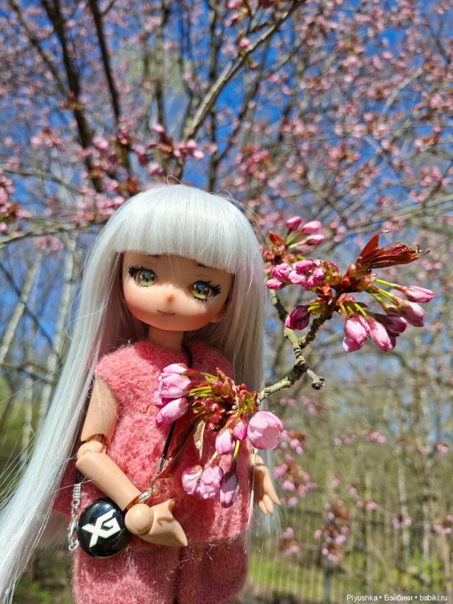 Сакура цветёт — Аниме куклы (MJD/Винил): Imomo (фото 8)