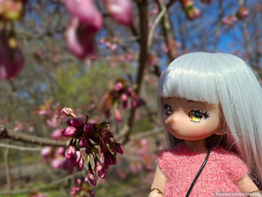 Сакура цветёт — Аниме куклы (MJD/Винил): Imomo (фото 6)