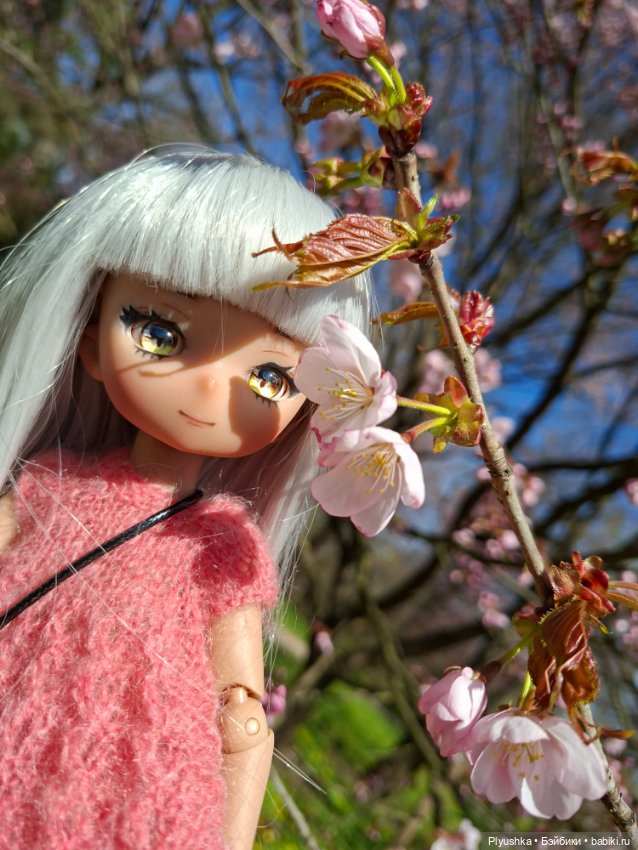 Сакура цветёт — Аниме куклы (MJD/Винил): Imomo