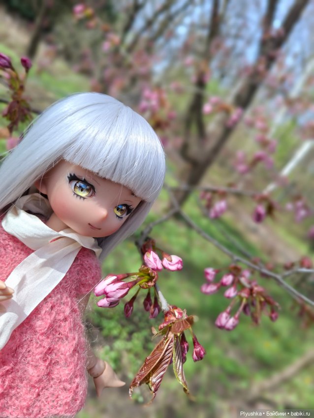 Сакура цветёт — Аниме куклы (MJD/Винил): Imomo