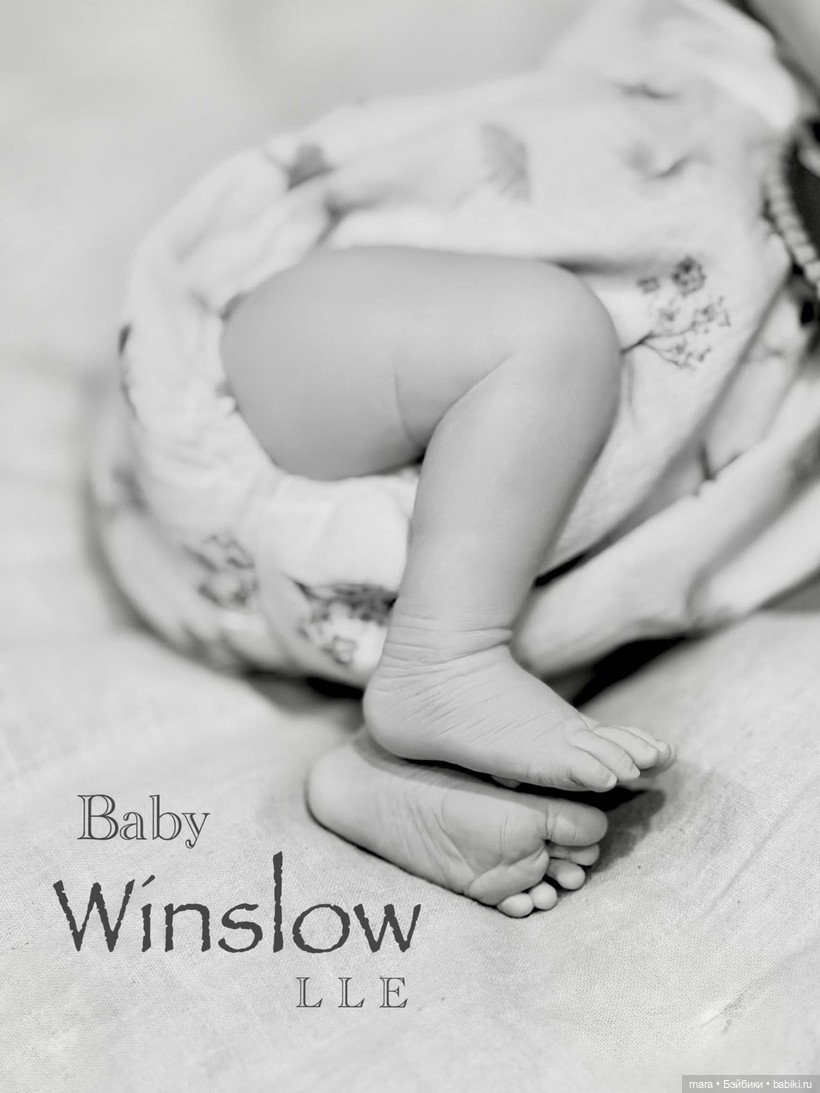 Winslow — новая жемчужина от Laura Lee Eagles (фото 6)